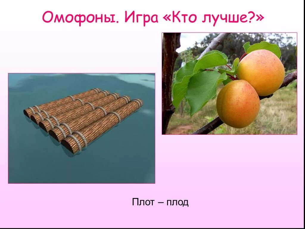Слово плоды. Пословицы и поговорки о плодах. Плод и плот. Плот плод омофоны. Биология 6 класс тема плоды.