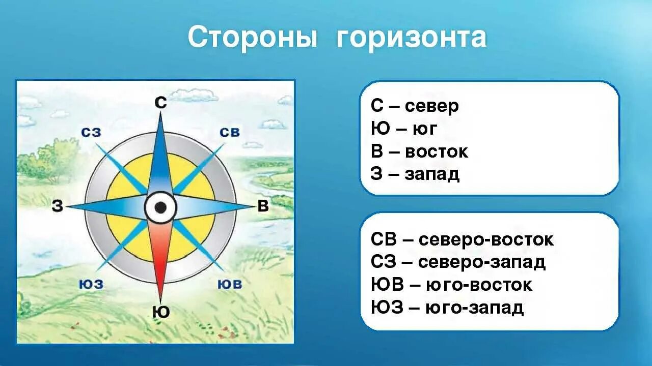 Основные и промежуточные стороны горизонта. Стороны света для детей.