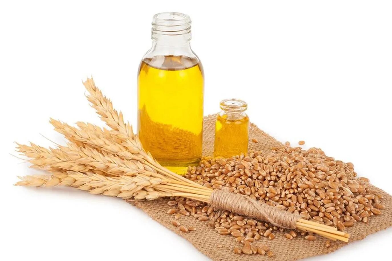 Масло пшеницы из зародышей. Пшеничное масло. Масло для волос с ростками пшеницы. Масло пшеницы из зародышей. Экстракт зародышей пшеницы.