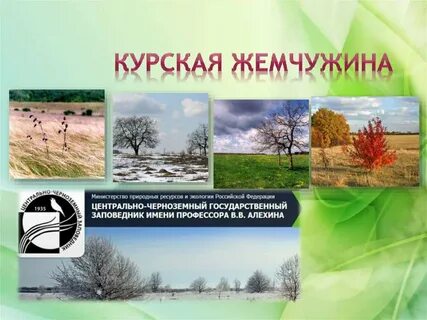 Заповедники курского края