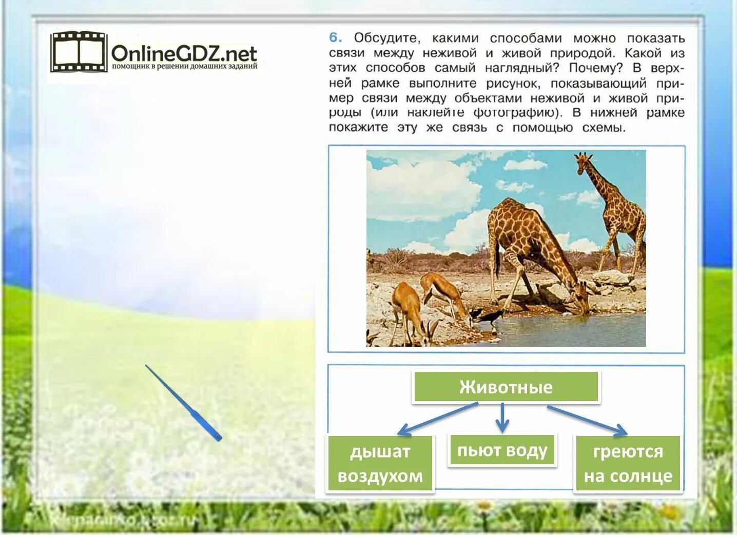 Живая и неживая природа 2 класс окружающий мир проверочная работа