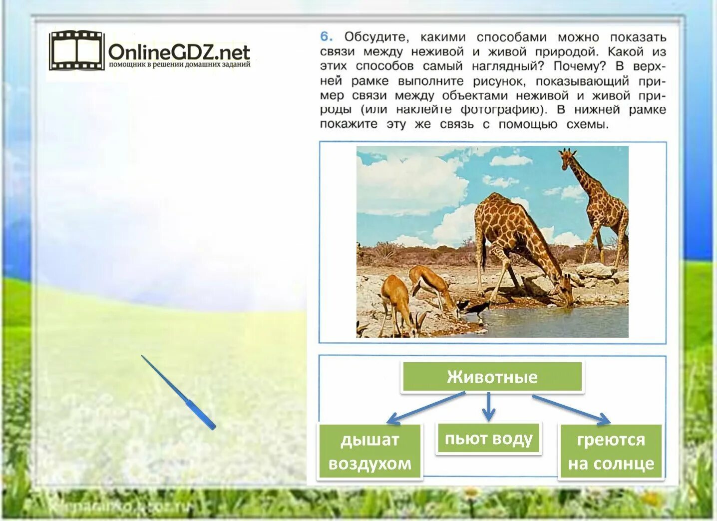 Как изменение неживой природы влияет на живую. Связь живой и неживой природы. Связь между живой и неживой природой. Связь живой и неживой природы 2 класс окружающий мир. Взаимосвязь живой и неживой природы 2 класс.