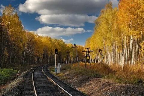 Железная осень