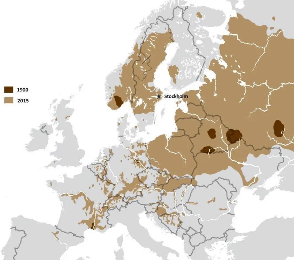 Ареал обитания Бобров в России. Бобры ареал обитания. Карта обитания Бобров. Ареал обитания бобра на карте.