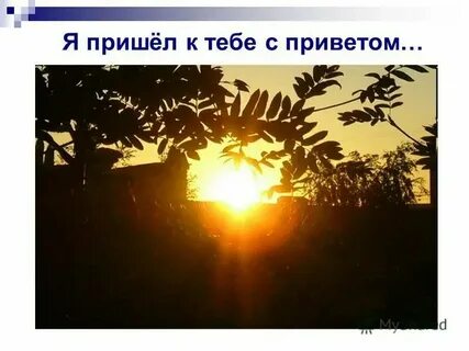 Осинка вспыхнула и затрепетала