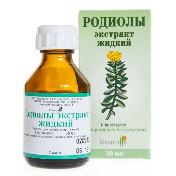 Родиола розовая аптека