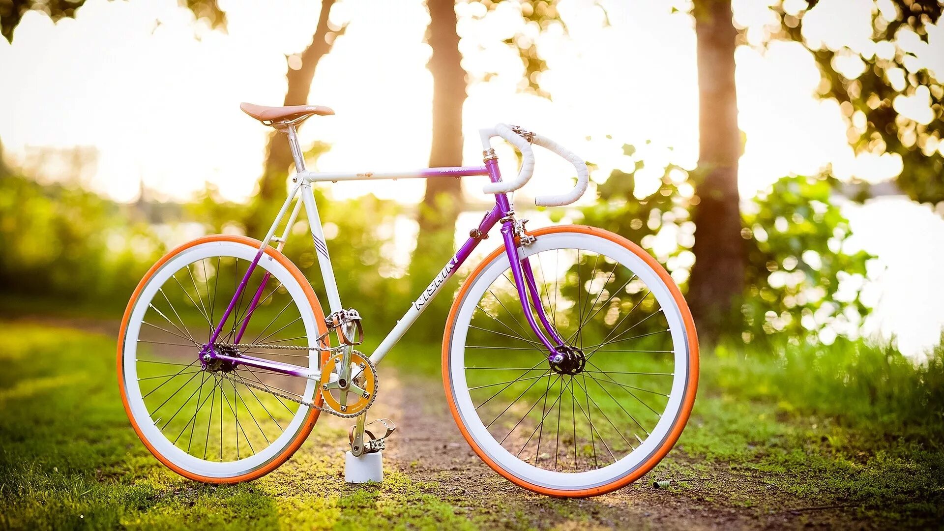 Красивые велосипеды. Велосипед фон. Лето велосипед. Яркий велосипед. Для телефона велик