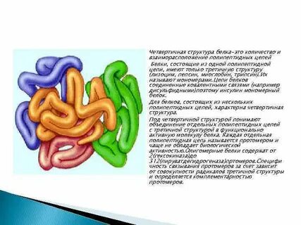 Олигомерные белки это