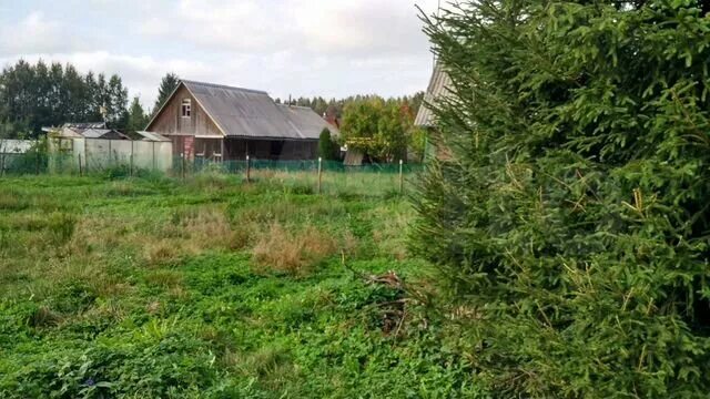 Авито сосново недвижимость. Массив Новожилово СНТ рассвет. Новожилово Ленинградская область. СНТ рассвет Приозерский район. СНТ рассвет Ленинградская область.