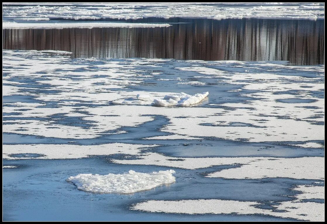 Лед тронулся. Громадный лед весной. Картина лед тронулся. Форум лед тронулся