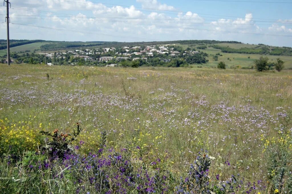 Белогоровка луганская область белые горы. Белогоровка попаснянский район. Поселок белогоровка луганская область. Белогоровка снимки. Белогоровка луганская.