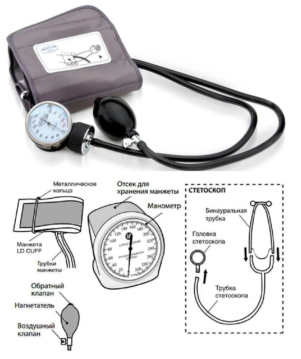 Измерение артериального давления механическим тонометром. Механический тонометр Алмак -01. Тонометр механический составные части. Из чего состоит тонометр для измерения давления механический. Сфигмоманометр из чего состоит.