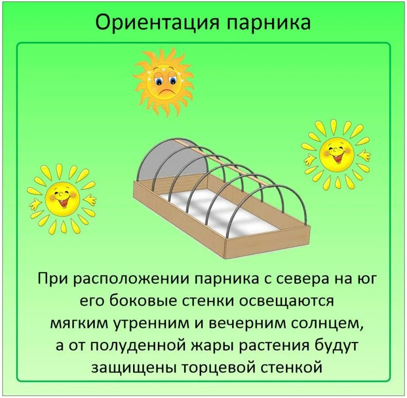 Как ставить теплицу относительно сторон света. Как правильно расположить теплицу на участке. Как правильно установить теплицу по сторонам света. Как правильно расположить теплицу на участке по сторонам света. Схема расположения теплицы на участке.