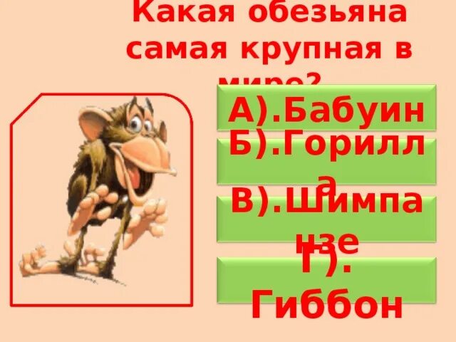 Шимпанзе какое прилагательное