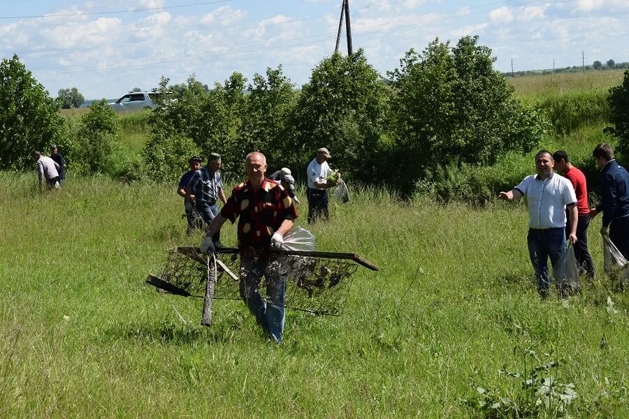 Приют мечта аксубаево 2022г. Аллея техникума в аксубаеве. Погода в аксубаево татарстан на 10 дней. Атут аксубаево. Аксубаево.