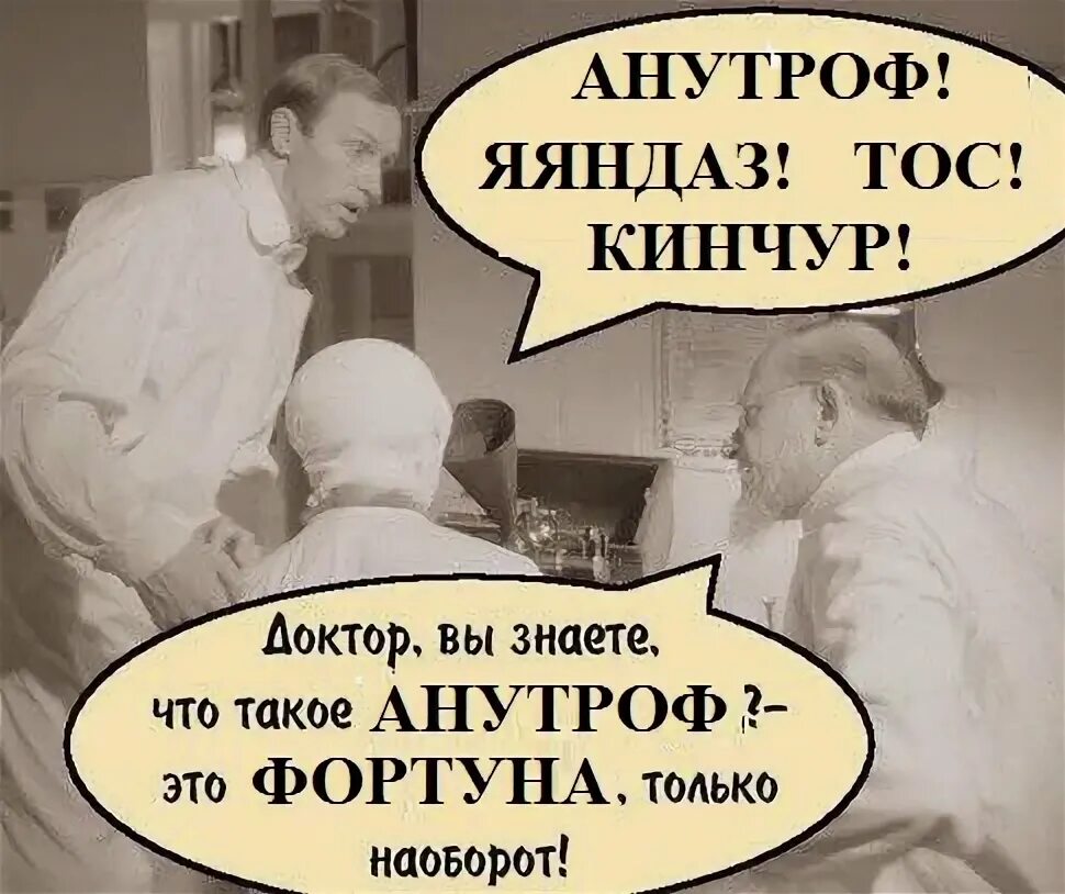 Дайте ему селедки. Шариков дайте ему селедки. шариков с селедкой. дайте ему селедку собачье сердце. дайте ему селедки мем.