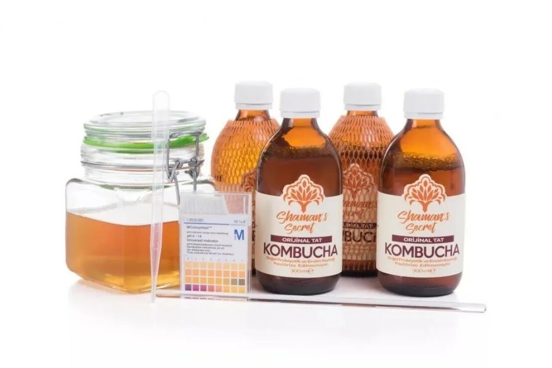 Комбуча напиток что это. Чайный гриб &quot;kombucha box&quot;. комбуча в тайланде. напиток из чайного гриба комбуча. ферментированная комбуча.