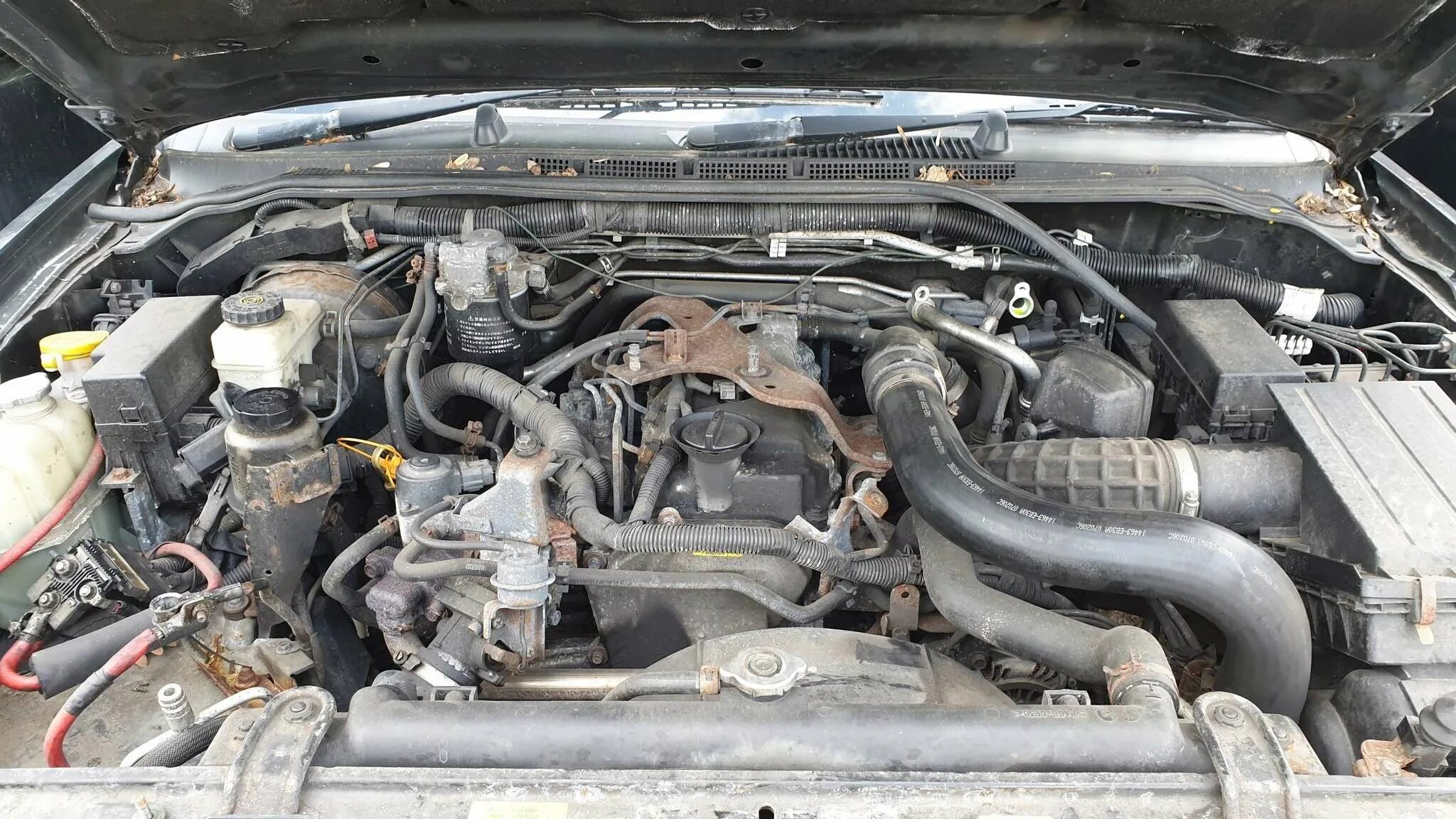 Дизель двигатель ниссан навара. Двигатель nissan pathfinder 2.5 дизель. навара мотор 2.5 дизель. двигатель ниссан навара 2.5 дизель. 2.5 dci yd25ddti.