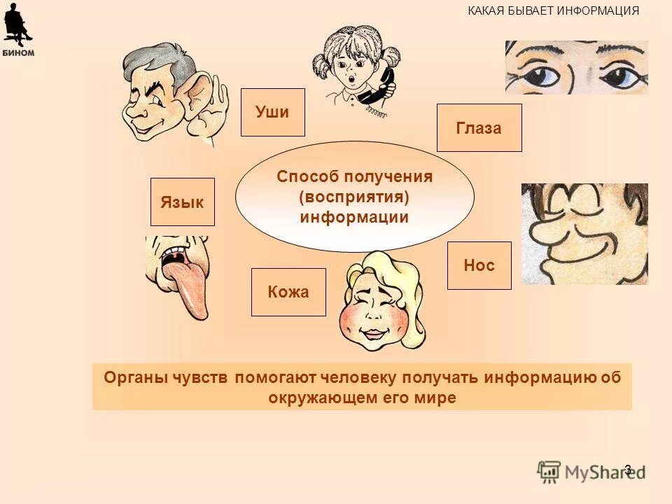 По способу информации бывает. Способы восприятия информации. Какая бывает информация. Типы восприятия информации. Виды восприятия информации человеком.