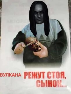 Стоя сынок