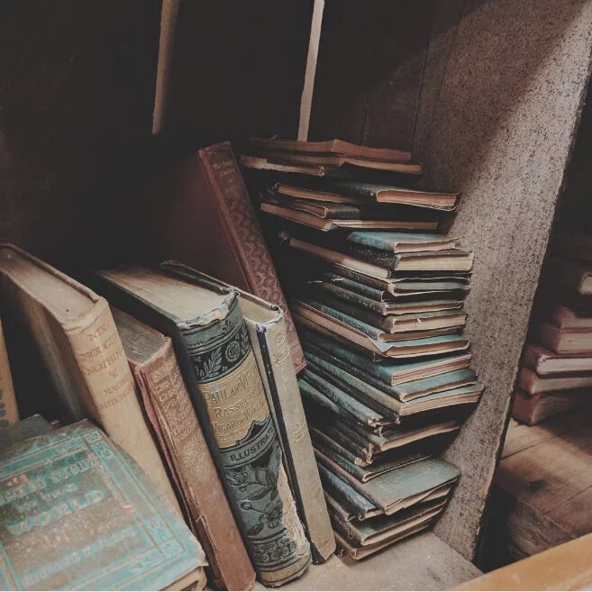 Книга старый порядок