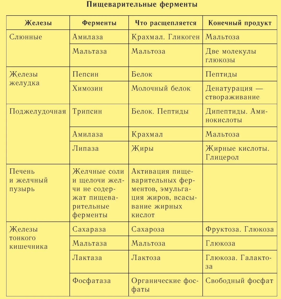 Ферменты пищеварительной системы таблица. Ферменты пищеварительной системы человека таблица. Таблица ферменты пищеварительной системы и их функции. Таблица по биологии пищеварительные ферменты.