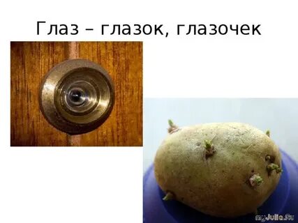 Слово глазки
