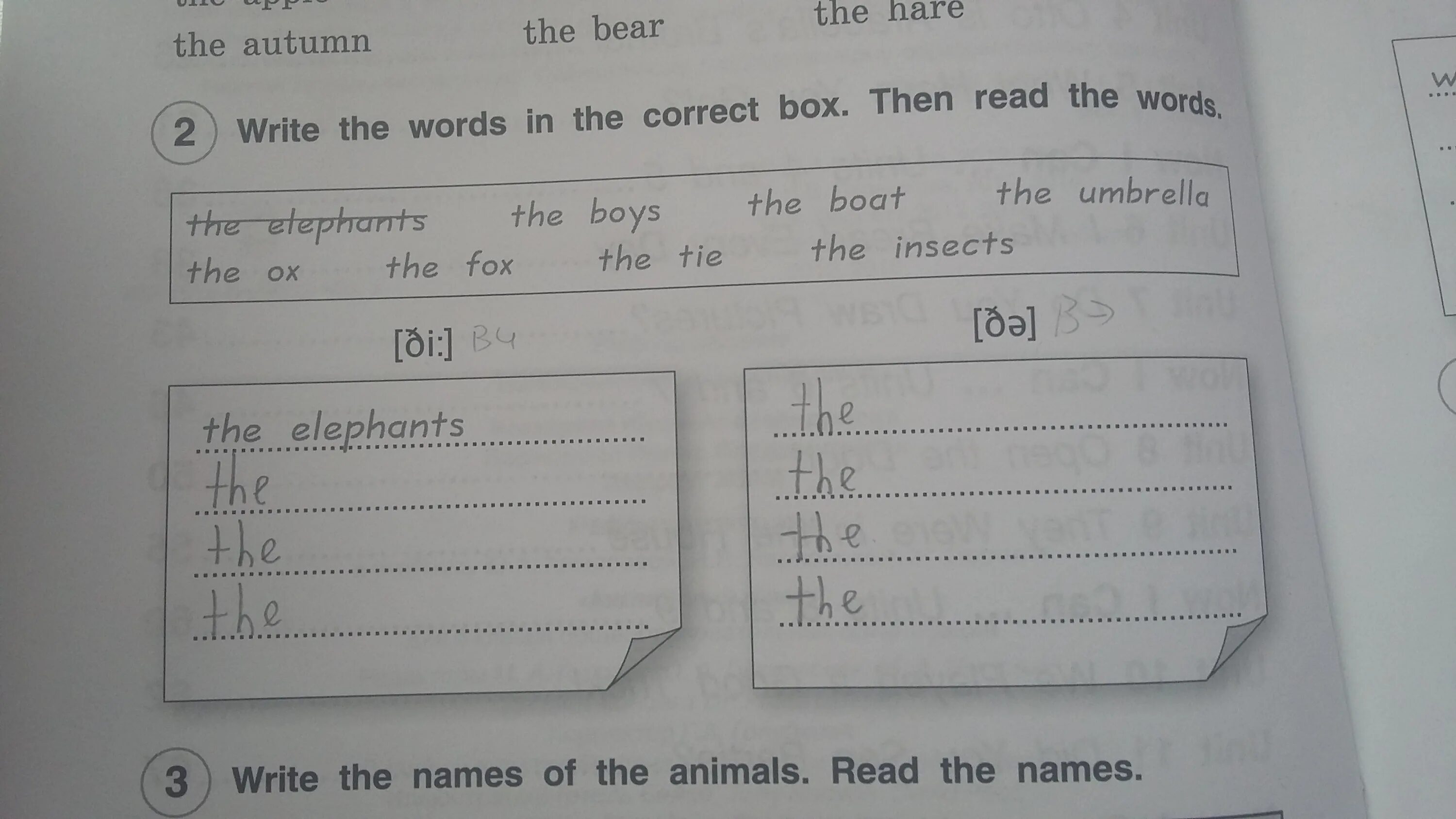 Watch the words in the box. Write the Words in the correct Box. Английский язык 3 класс write the Words in order. Write the Words in the correct Box 2 клас. Read and correct the Word in Bold.