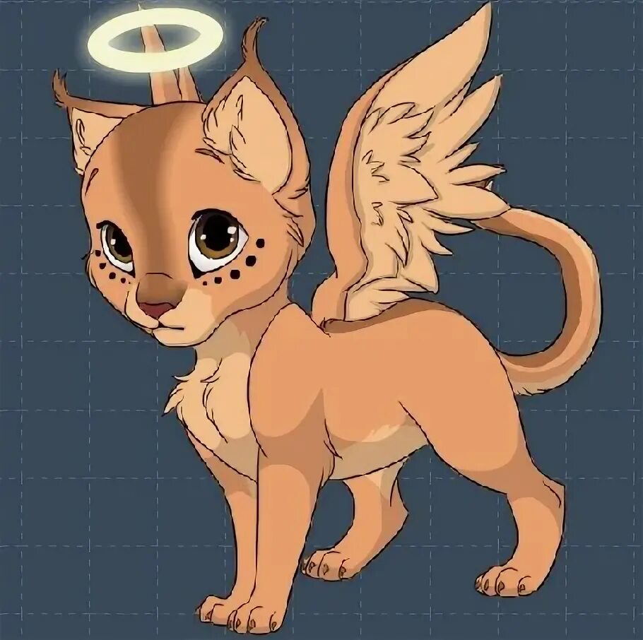 Create cat. Create cat