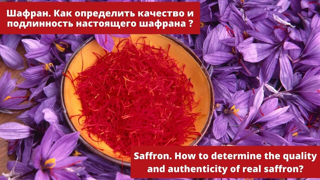 Как правильно пить шафран. Как определить настоящий шафран. как отличить настоящий шафран.