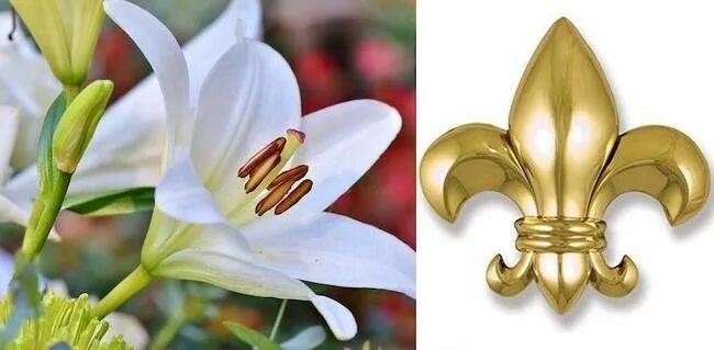 Значение клейма лилии на плече миледи