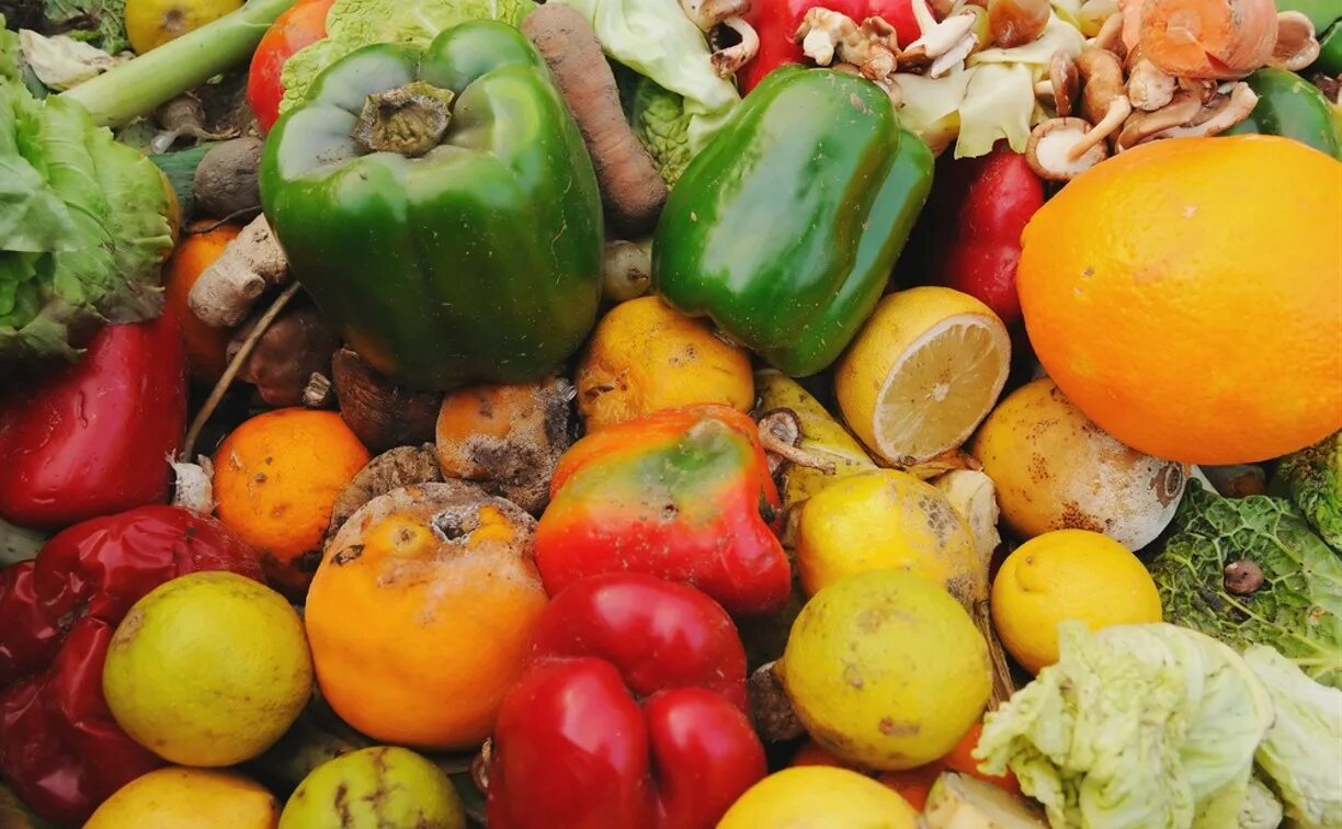 Фрукты после овощей. Испорченные овощи. Тухлые овощи и фрукты. Гнилые овощи. Плоды и овощи.