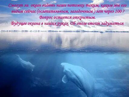 Сегодня по видимому