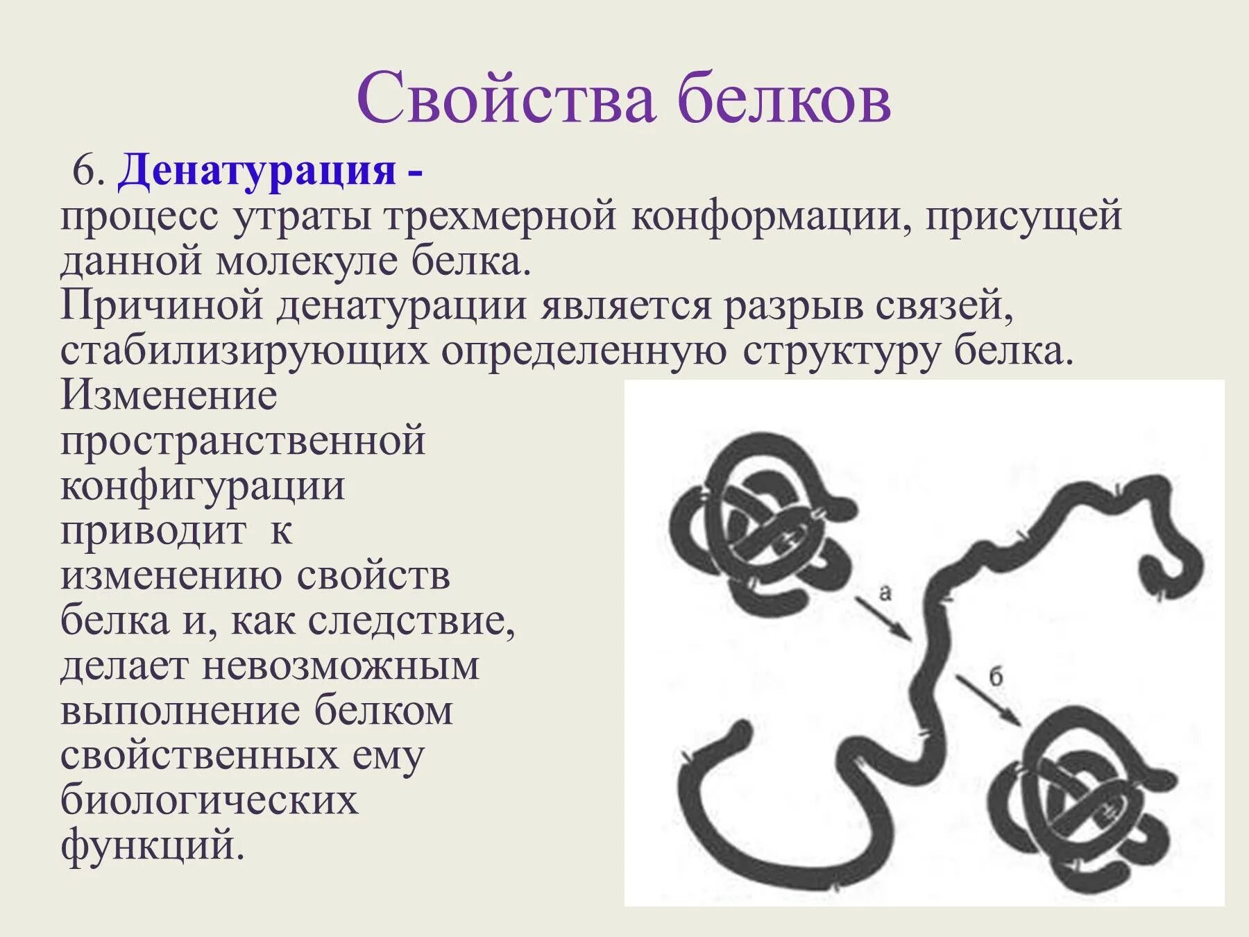 Процессы денатурации белков. Процесс денатурации белков. Свойства белков денатурация. Денатурация белка свойства. Процесс денатурации белка.