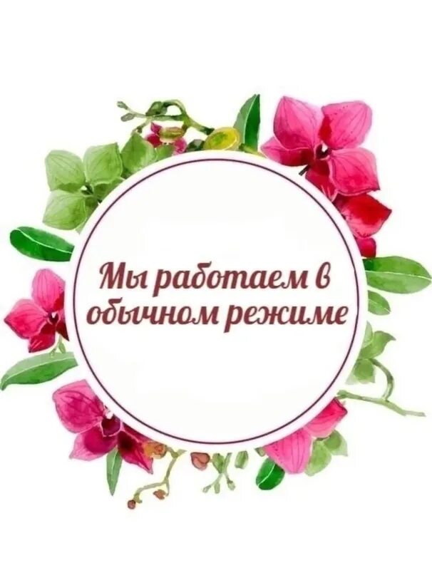 Мы работаем в обычном. Работаем в обычном режиме. мы работаем в обычном режиме. работаем в обычном режиме картинки. мы снова работаем в обычном режиме.