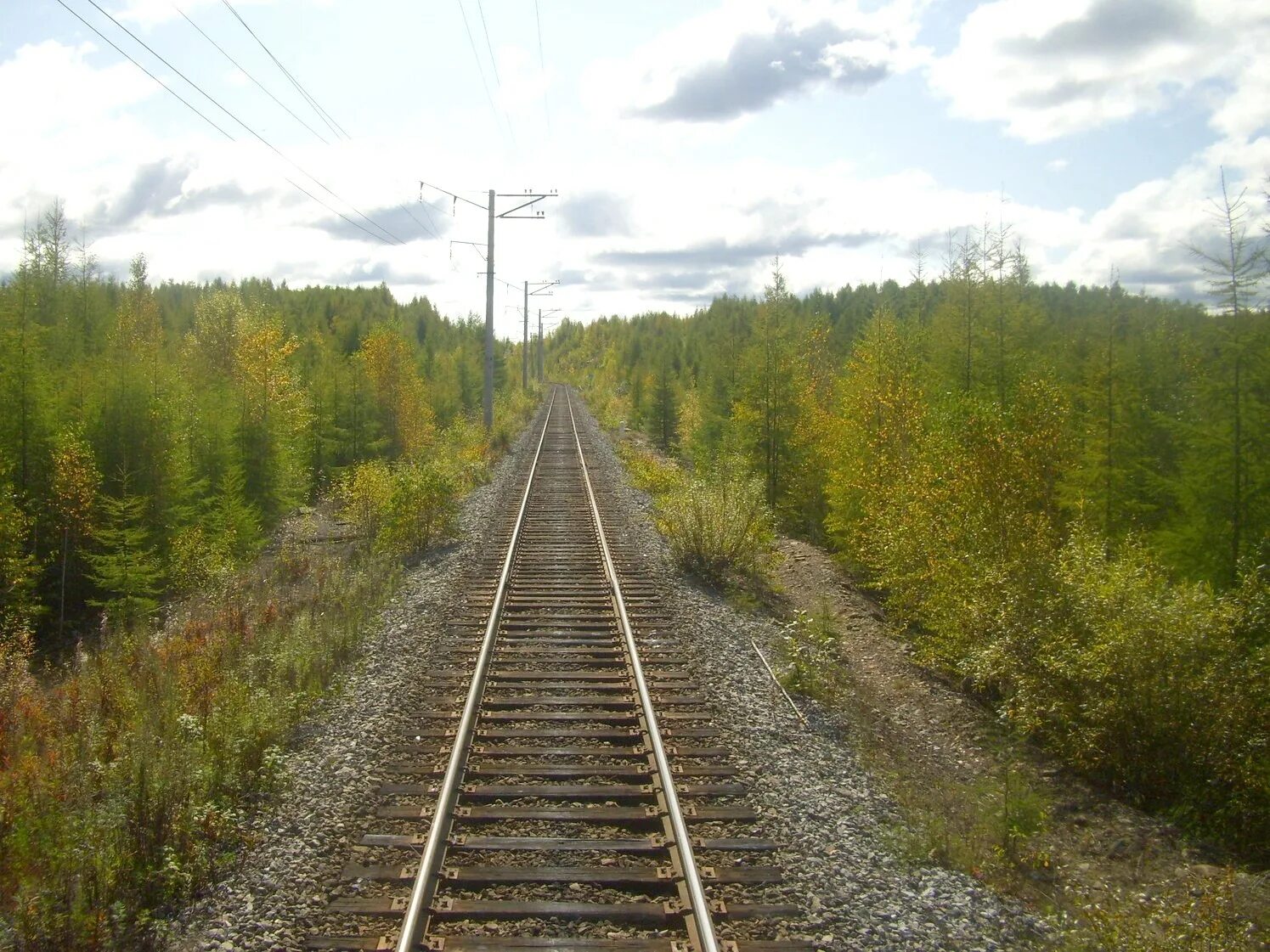 Бич бам. Станция тунгала бам. Нюкжа (река). Байкало-амурская магистраль олекма. Бам владивосток.