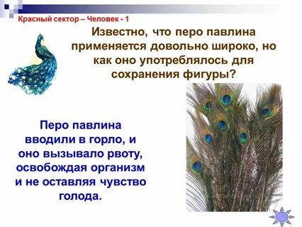 Приметы залетело перо