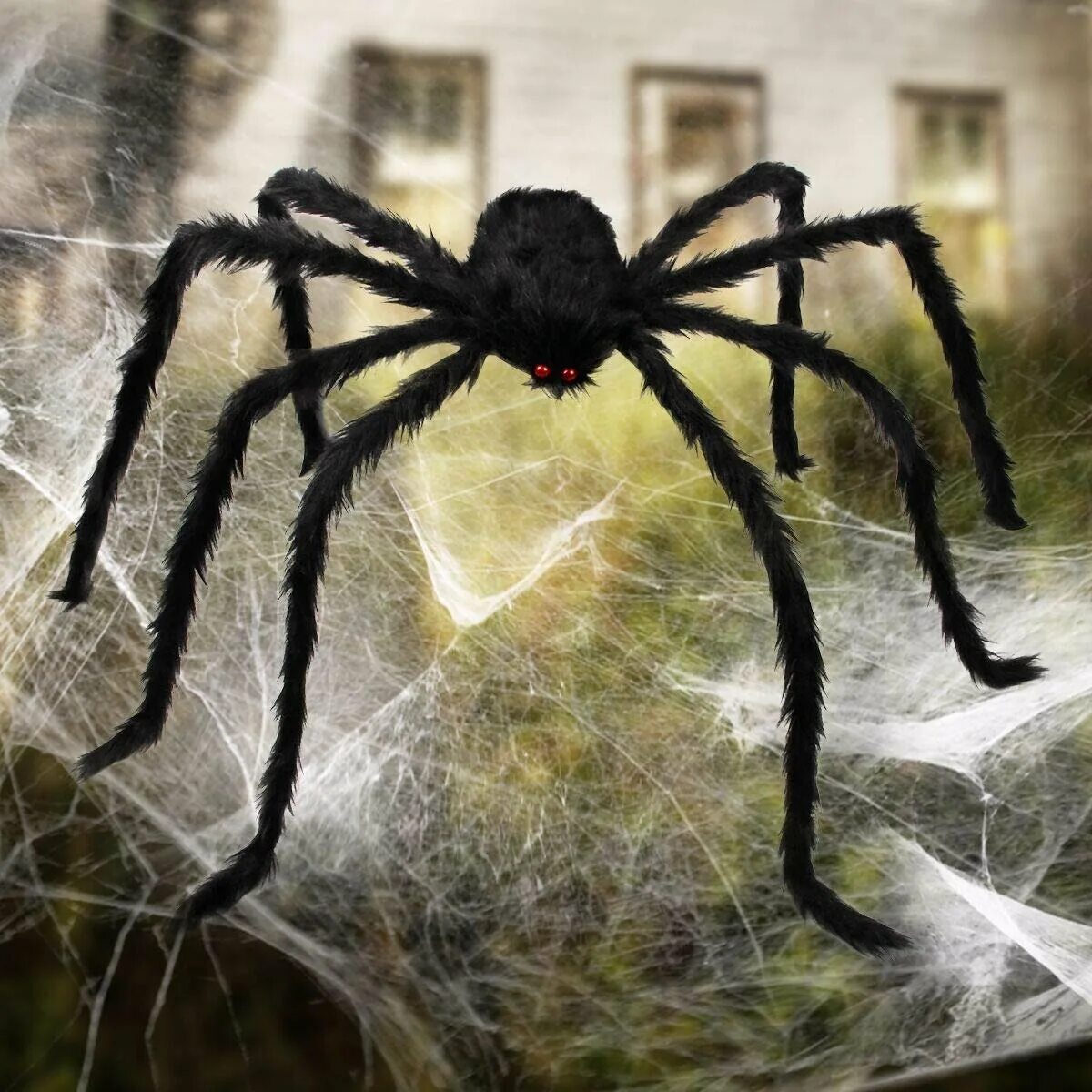 Паук скакун обыкновенный. Как выглядят настоящие пауки. Паук птицеед паутина. Паук настоящий. Как выглядят настоящие пауки.