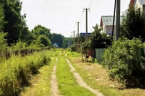 Дачный участок сосновка