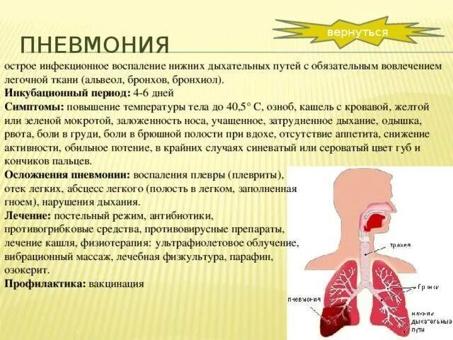 Профилактика пневмонии у детей. Заболевания дыхательных путей. Острые заболевания органов дыхания.