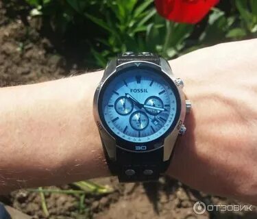 Fossil ch 2564