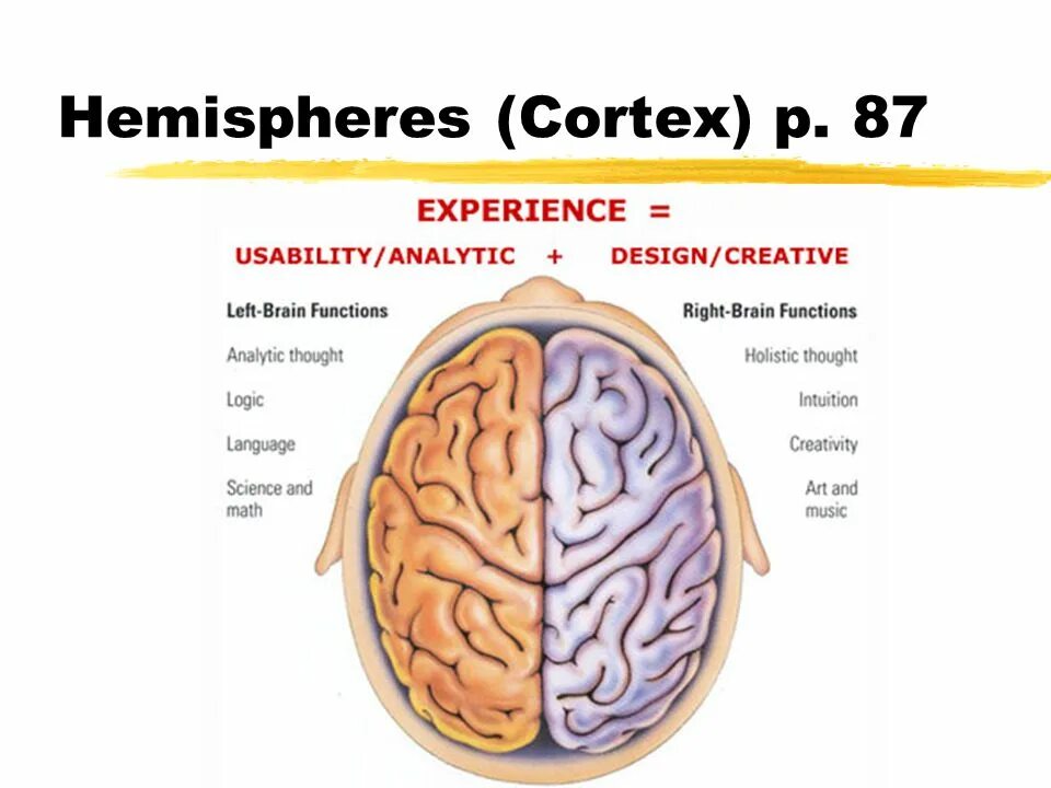 Split brain. Межполушарная специализация. Эксплицитная память. Межполушарная асимметрия. Имплицитная и эксплицитная память.