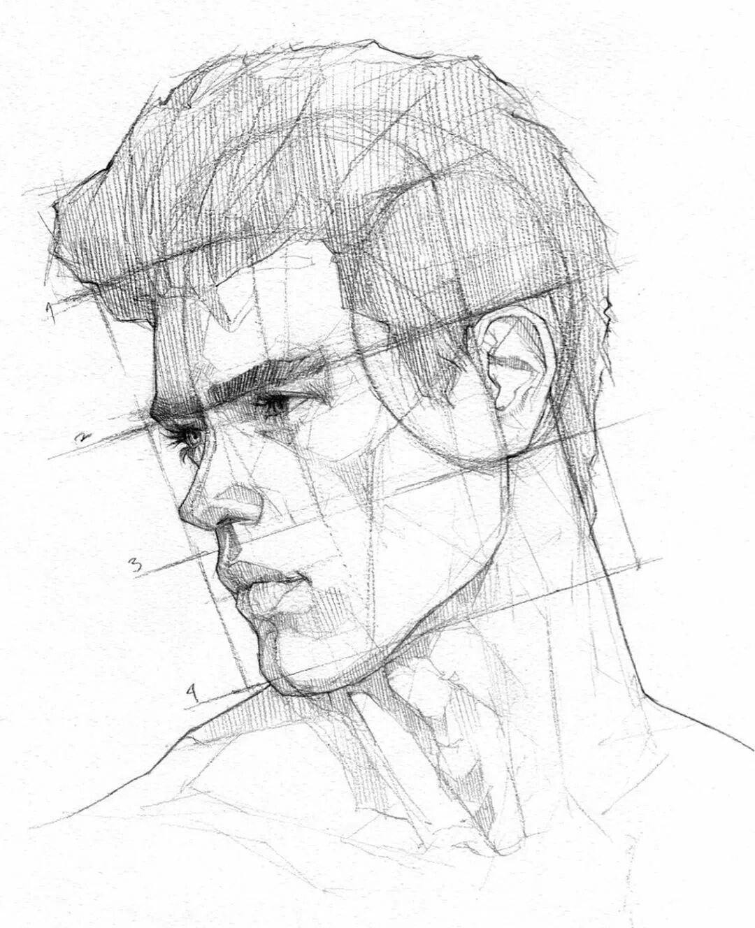 Portrait sketch