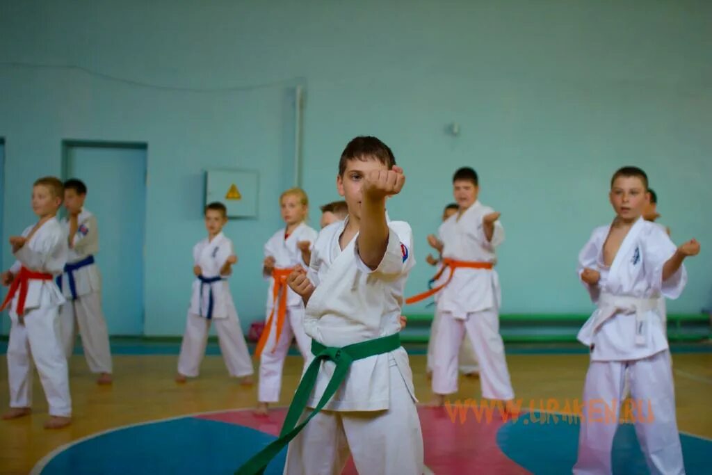 Оранжевый пояс по карате. 7 кю каратэ. Пояс на 9 кью киокусинка. Экзамен на 8 кю каратэ шотокан. Карате.