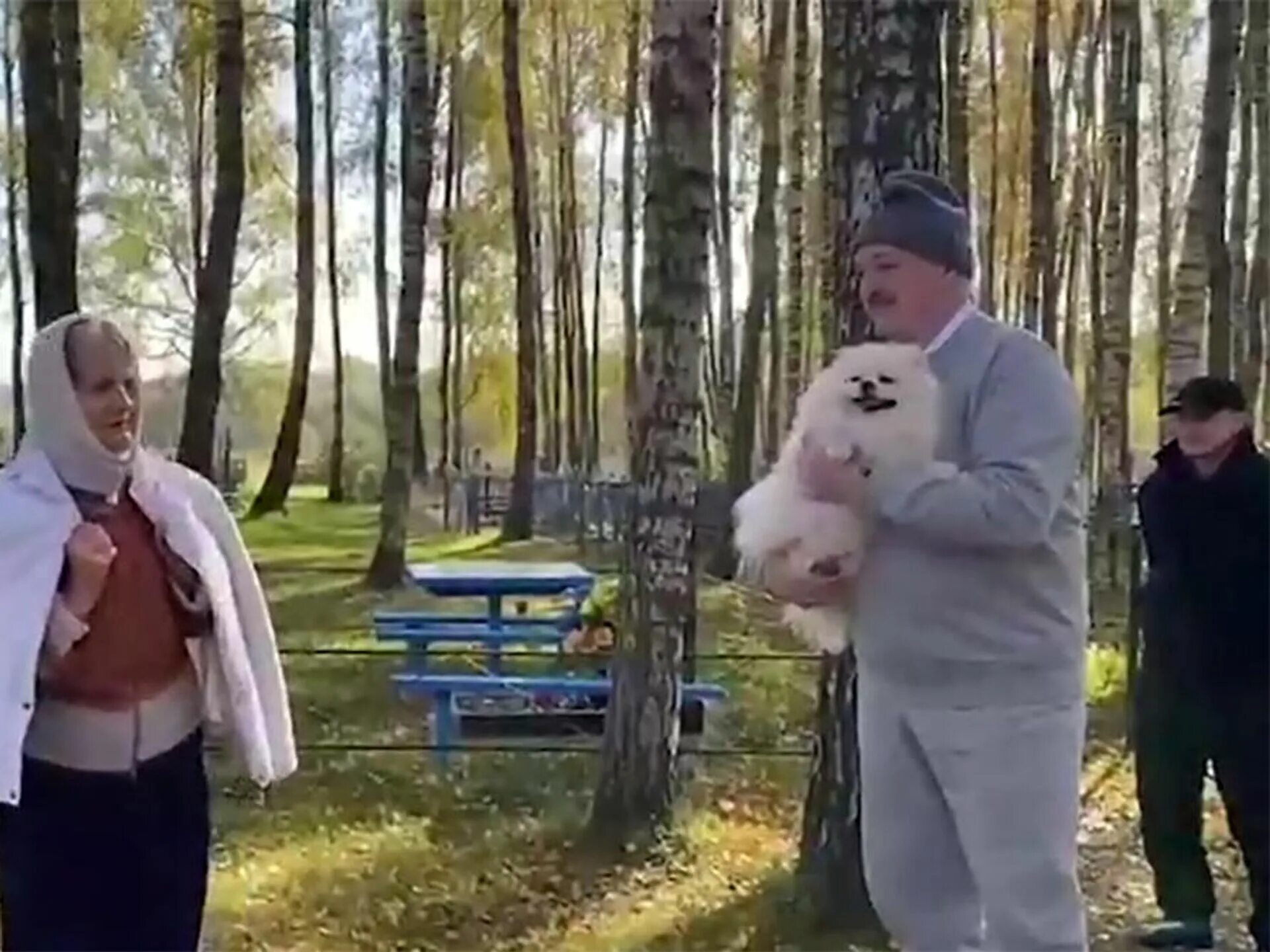 Лукашенко и шпиц умка. Шпиц умка лукашенко. умка лукашенко на столе. собака лукашенко на столе. белый шпиц лукашенко.