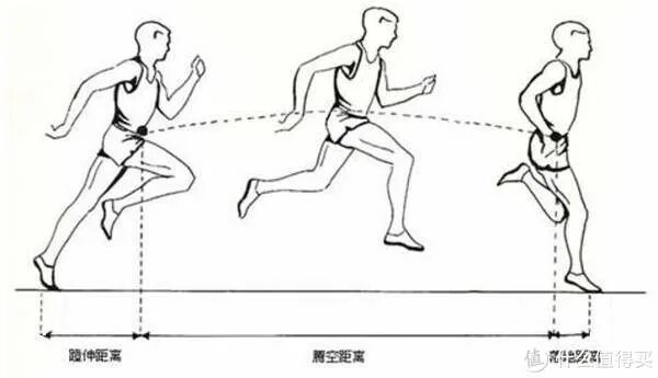 Равномерный шаг. Фазы бега. Основы техники ходьбы и бега. Схема движения человека ходьба. Фазы шага при беге.