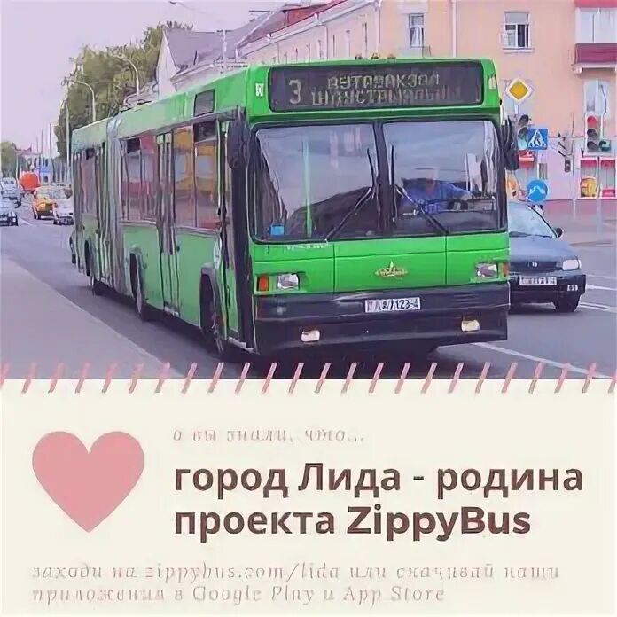 Zippybus гродно. Zippybus гродно