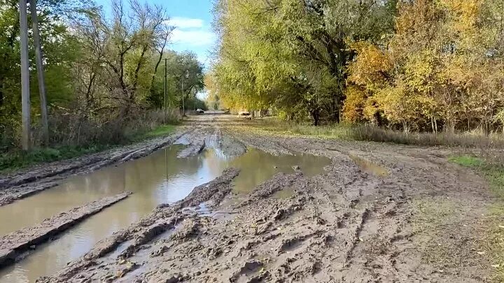 Кашары фото. Погода дибровый. Хутор новопавловка. Погода дибровый. Погода в поселке дибровый.