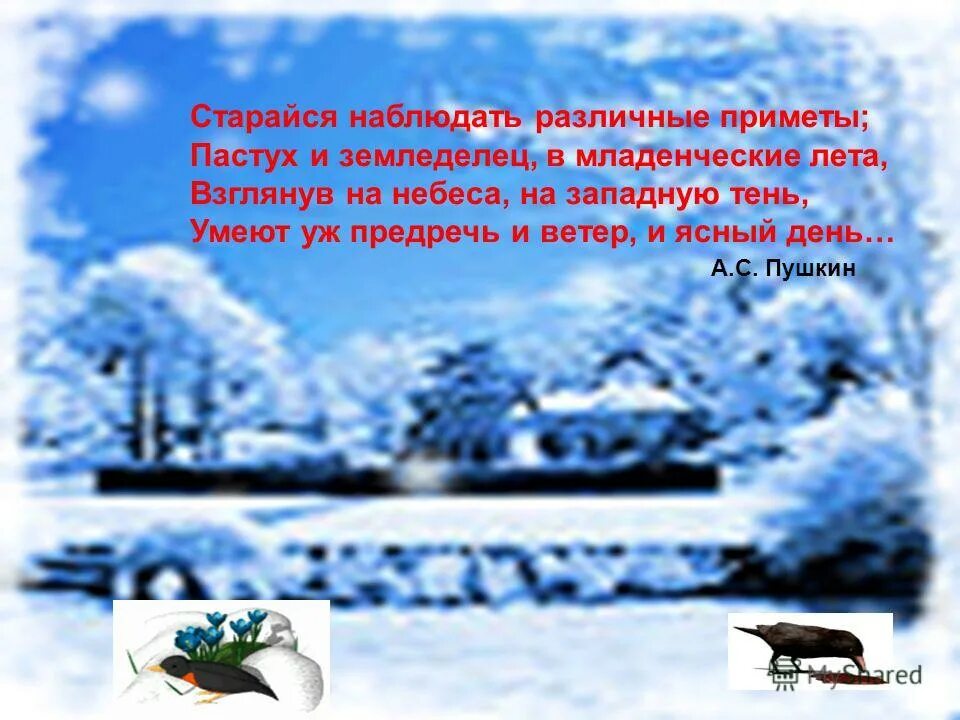 Наблюдать стараться. Чувашские приметы. Приметы о погоде на чувашском языке. Приметы о погоде Чувашского народа. Чувашские народные приметы.