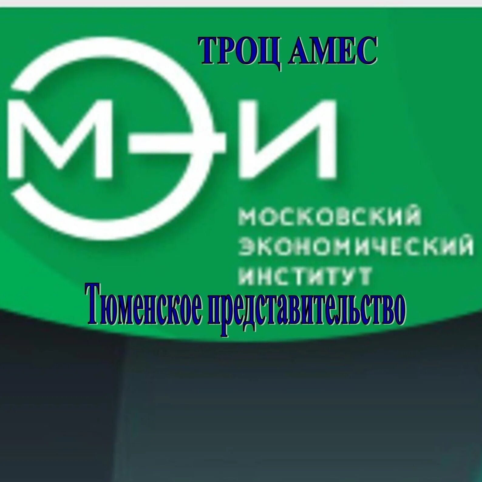 Московский экономический институт отзывы. НОЧУ во МЭИ институт. Московский экономический институт МЭИ. Московский экономический институт лого. Национальный исследовательский университет «МЭИ» лого.